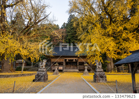日本鳥取縣美麗的秋景 133479625