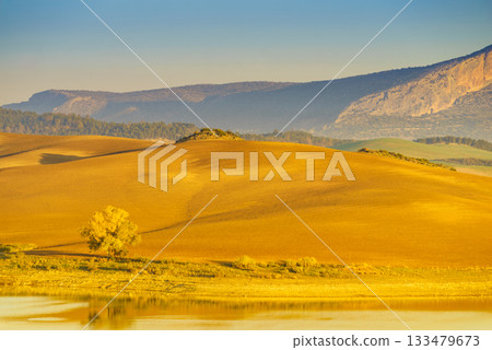 Spanish nature landscape in Andalucia. 133479673