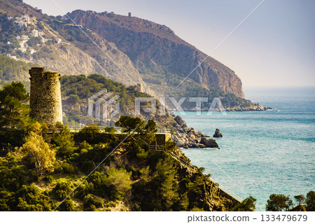 Spanish coast with Pine Tower, Andalusia. 133479679