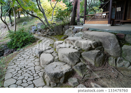 Tonogayato Garden in Autumn Tonogayato Garden in Autumn 133479760