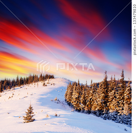 winter landscape winter landscape 133479810