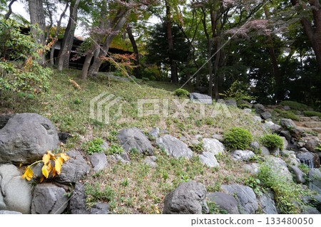 Tonogayato Garden in Autumn Tonogayato Garden in Autumn 133480050