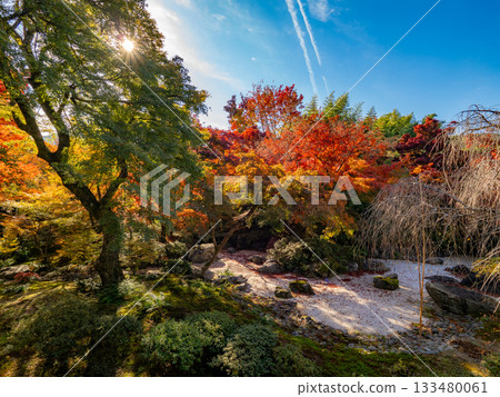 Kyoto temples bathed in autumn colors Kyoto temples bathed in autumn colors 133480061