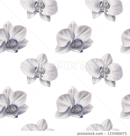 White orchid in a simple seamless pattern,symbolizing tropical vacation,innocence,tenderness, youth. Hand drawn watercolor illustration for backgroud,textile,wrapping papper White orchid in a simple seamless pattern,symbolizing tropical vacation,innocence,tenderness, youth. Hand drawn watercolor illustration for backgroud,textile,wrapping papper 133480075