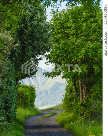 Summer mountain view, France. Summer mountain view, France. 133480080