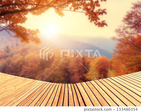 colored autumn forest colored autumn forest 133480354