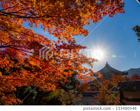 Kyoto temples bathed in autumn colors Kyoto temples bathed in autumn colors 133480546