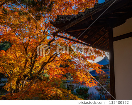 Kyoto temples bathed in autumn colors 133480552