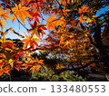 Kyoto temples bathed in autumn colors 133480553