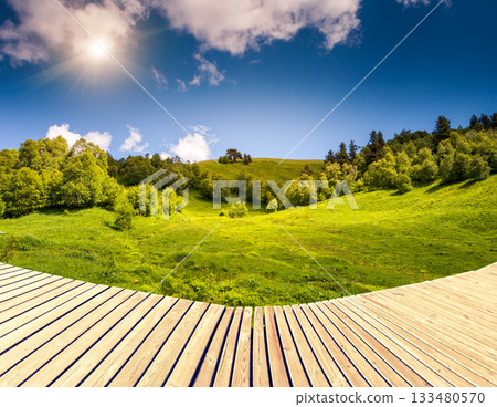 green field green field 133480570