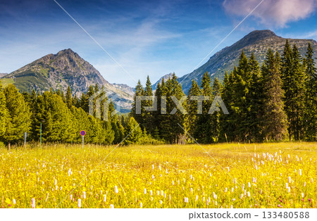 magic mountain landscape magic mountain landscape 133480588