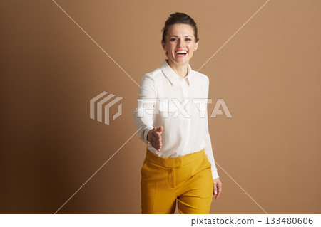 Businesswoman Extending Hand for Handshake 133480606