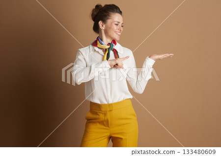 Professional Woman Highlighting an Option 133480609