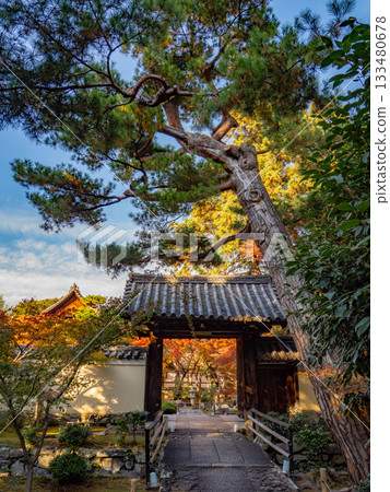 Kyoto temples bathed in autumn colors Kyoto temples bathed in autumn colors 133480678