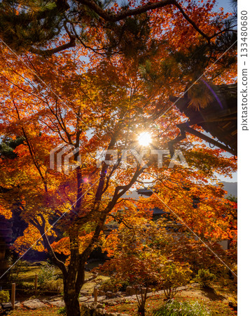 Kyoto temples bathed in autumn colors 133480680