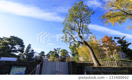 大磯城堡公園的秋天 133480692