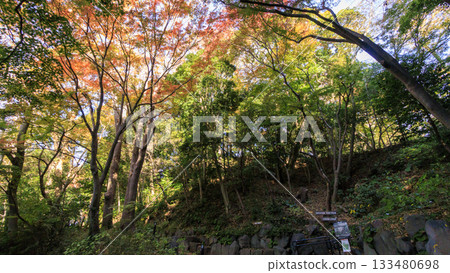 大磯城堡公園的秋天 133480698