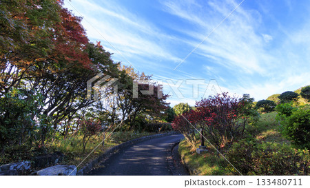 大磯城堡公園的秋天 大磯城堡公園的秋天 133480711