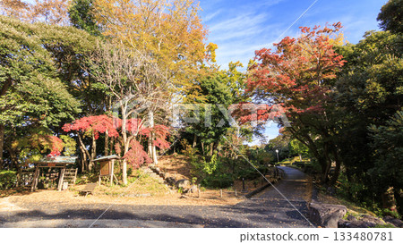 大磯城堡公園的秋天 大磯城堡公園的秋天 133480781