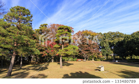 大磯城堡公園的秋天 133480789