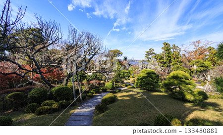 Autumn at the former Yoshida Shigeru residence Autumn at the former Yoshida Shigeru residence 133480881