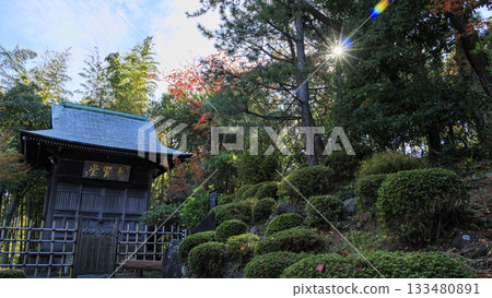 秋日里,吉田茂故居的景色盡收眼底。 秋日里,吉田茂故居的景色盡收眼底。 133480891