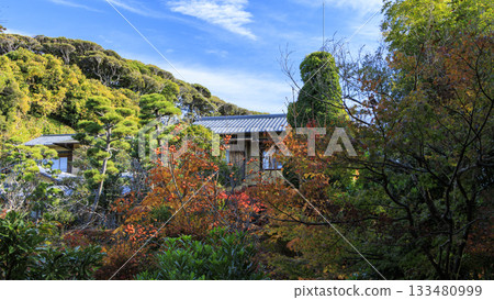 秋日里，吉田茂故居的景色盡收眼底。 133480999