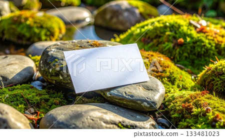 Japanese-style business card mockup decorated with moss and stones 133481023