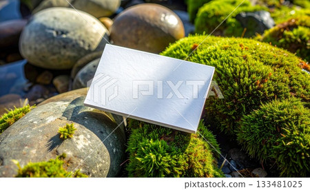 Japanese-style business card mockup decorated with moss and stones 133481025