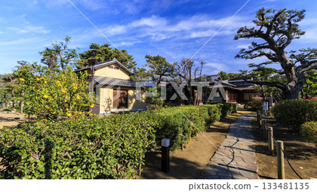 秋季的明治紀念大磯庭園 秋季的明治紀念大磯庭園 133481135