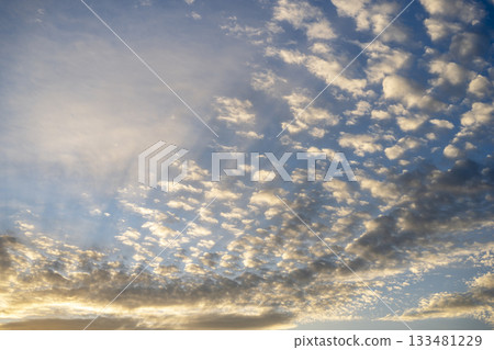 Sunset, Dusk, Evening, Autumn, Sky, Clear, November [Kanagawa Prefecture] 133481229