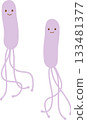 Helicobacter pylori 133481377
