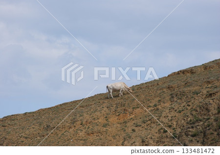 In the foreground, a mountain slope leads to the mystical Shamanka Rock. Autumn landscape of Olkhon Island. 133481472