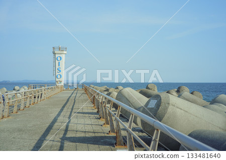Autumn scenery of Oiso Port, Oiso Town, Kanagawa Prefecture Autumn scenery of Oiso Port, Oiso Town, Kanagawa Prefecture 133481640