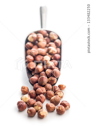 Peeled hazelnut kernels in scoop isolated on white background. Peeled hazelnut kernels in scoop isolated on white background. 133482250