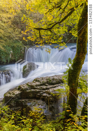 Sunny mountain forest, waterfall on a stormy mountain river 133482588