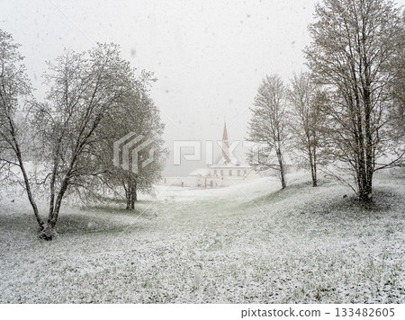 Sudden blizzard in the Gatchina park. Russia Sudden blizzard in the Gatchina park. Russia 133482605