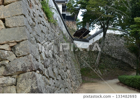 Bitchu Matsuyama城堡 133482693