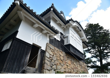 Bitchu Matsuyama城堡 Bitchu Matsuyama城堡 133482698