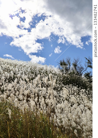 與Susuki的風景 與Susuki的風景 133482741