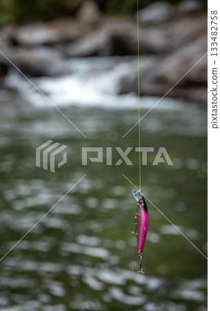 長野縣南卷村一條山澗的特寫，以及一條粉紅色的魚餌（小魚）。 133482758