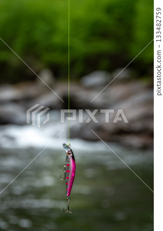 長野縣南卷村一條山澗的特寫，以及一條粉紅色的魚餌（小魚）。 133482759