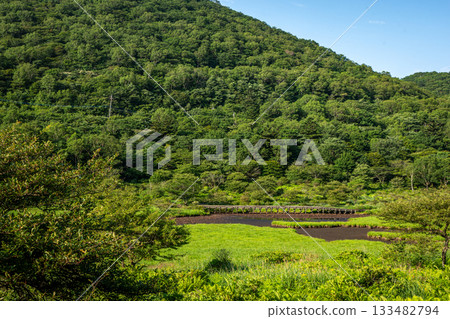 群馬縣角滿淵的沼澤景觀和夏季綠意盎然的景色，泥炭地與草地形成鮮明對比。 133482794