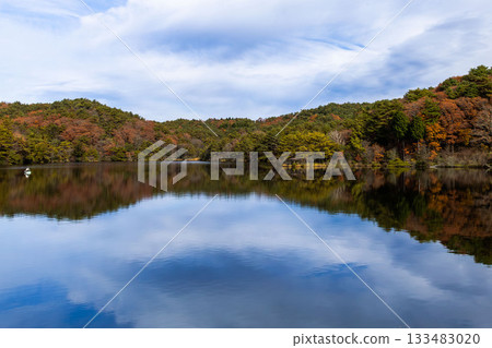 Pond in the fall of autumn 133483020