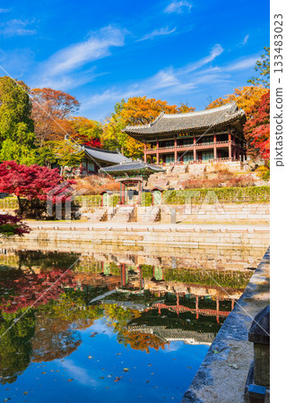 首爾的秋天,昌德宮,後花園 首爾的秋天,昌德宮,後花園 133483023