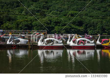 Swan boats lined up at the boat dock at Lake Onuma in Gunma Prefecture and the green scenery of summer 133483390
