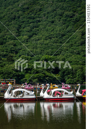 Swan boats lined up at the boat dock at Lake Onuma in Gunma Prefecture and the green scenery of summer Swan boats lined up at the boat dock at Lake Onuma in Gunma Prefecture and the green scenery of summer 133483391