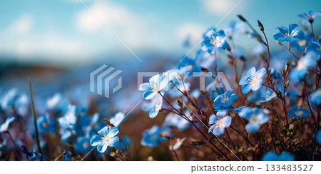 Blue flowers blooming on a spring hill AI image Blue flowers blooming on a spring hill AI image 133483527