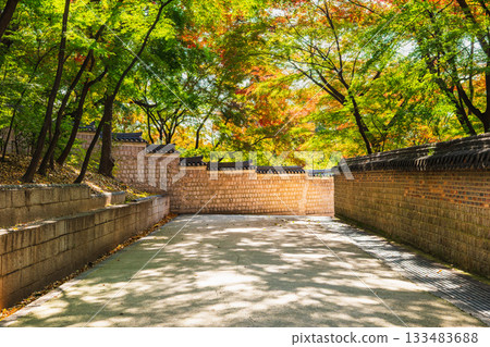 首爾的秋天,昌德宮,後花園 首爾的秋天,昌德宮,後花園 133483688