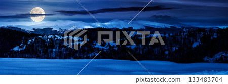 panorama of mountain ridge in winter at night. magnificent alpine landscape with snowy peaks with cloudy sky in full moon light. backdrop for fiction art or mystery concepts panorama of mountain ridge in winter at night. magnificent alpine landscape with snowy peaks with cloudy sky in full moon light. backdrop for fiction art or mystery concepts 133483704